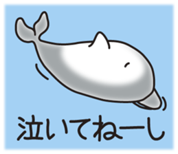 Sticker of a cute dolphin sticker #10344914