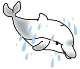 Sticker of a cute dolphin sticker #10344922
