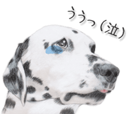 Real dog2 sticker #10346082