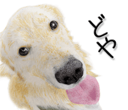 Real dog2 sticker #10346085