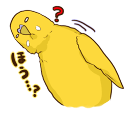 true parrots.1 sticker #10347819