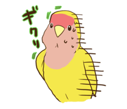 true parrots.1 sticker #10347835