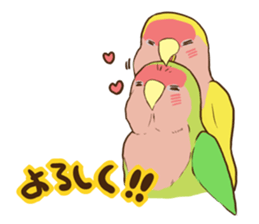 true parrots.1 sticker #10347839
