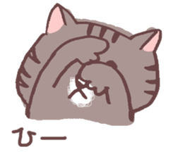 brown tabby cat "Kijineko-chan" sticker #10348103
