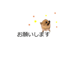 Balloon-dogs- sticker #10348820