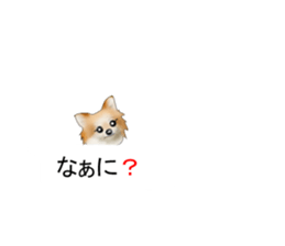 Balloon-dogs- sticker #10348829