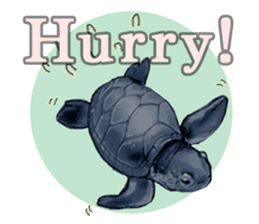 Leisurely Sea Animals sticker #10350130