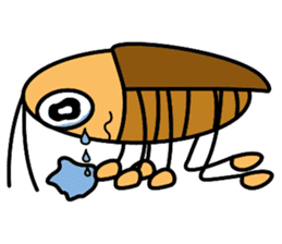 Cockroach Daily sticker #10350384