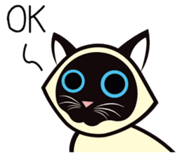 Kapi the Siamese cat sticker #10351761