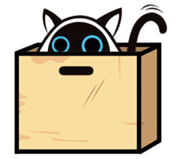 Kapi the Siamese cat sticker #10351776