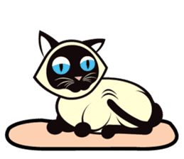Kapi the Siamese cat sticker #10351780