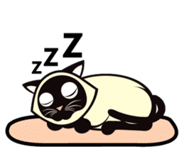 Kapi the Siamese cat sticker #10351781