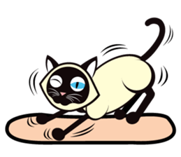 Kapi the Siamese cat sticker #10351782