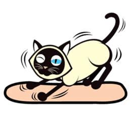 Kapi the Siamese cat sticker #10351782