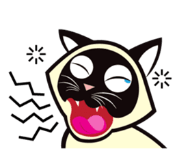 Kapi the Siamese cat sticker #10351784