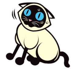Kapi the Siamese cat sticker #10351789