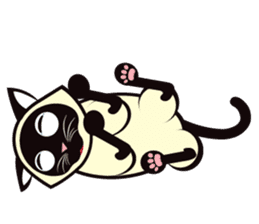 Kapi the Siamese cat sticker #10351792