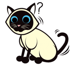 Kapi the Siamese cat sticker #10351797
