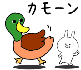 Rabbit fun puns sticker #10354656