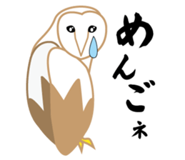 Barn owl nandesu sticker #10355923