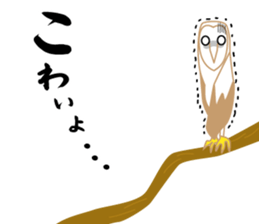 Barn owl nandesu sticker #10355938