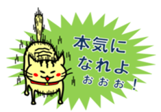 Easygoing Cat's Ordinary Stickers sticker #10356486