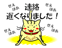 Easygoing Cat's Ordinary Stickers sticker #10356495