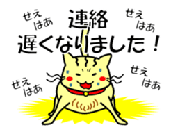 Easygoing Cat's Ordinary Stickers sticker #10356495