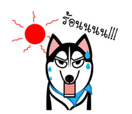Husky Vector sticker #10356745
