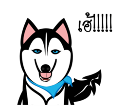 Husky Vector sticker #10356756