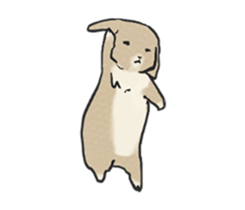 Holland rop ear rabbit Moco 3 sticker #10357004