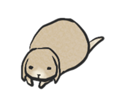 Holland rop ear rabbit Moco 3 sticker #10357010