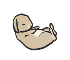 Holland rop ear rabbit Moco 3 sticker #10357012