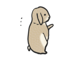 Holland rop ear rabbit Moco 3 sticker #10357014