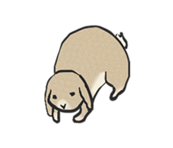 Holland rop ear rabbit Moco 3 sticker #10357021