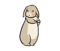 Holland rop ear rabbit Moco 3 sticker #10357022