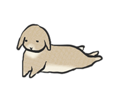 Holland rop ear rabbit Moco 3 sticker #10357028