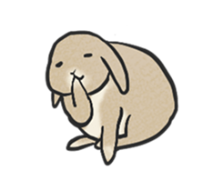 Holland rop ear rabbit Moco 3 sticker #10357031
