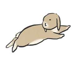 Holland rop ear rabbit Moco 3 sticker #10357034