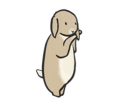 Holland rop ear rabbit Moco 3 sticker #10357038
