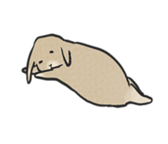 Holland rop ear rabbit Moco 3 sticker #10357039