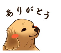 Blackcat & bigdog sticker #10358962