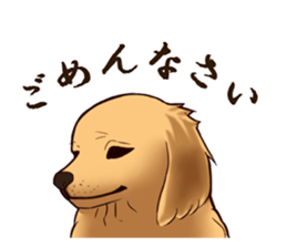 Blackcat & bigdog sticker #10358963