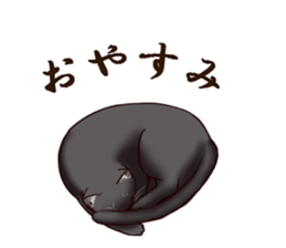 Blackcat & bigdog sticker #10358967