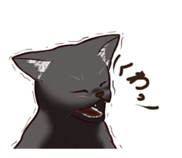 Blackcat & bigdog sticker #10358968