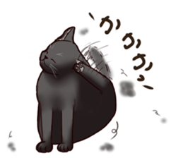 Blackcat & bigdog sticker #10358970