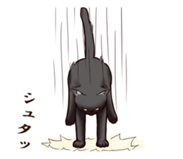 Blackcat & bigdog sticker #10358971