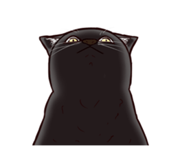 Blackcat & bigdog sticker #10358973