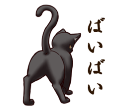 Blackcat & bigdog sticker #10358975