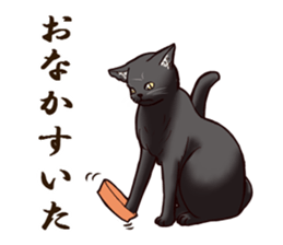 Blackcat & bigdog sticker #10358976